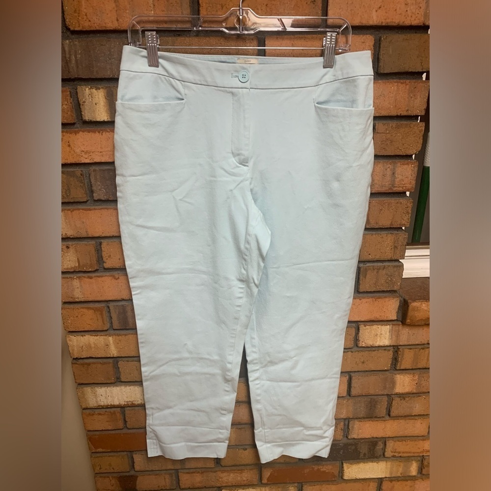 Talbots Light Blue Curvy Capri